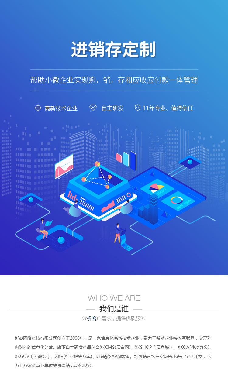 定制化进销存系统：提升企业管理效能的新利器