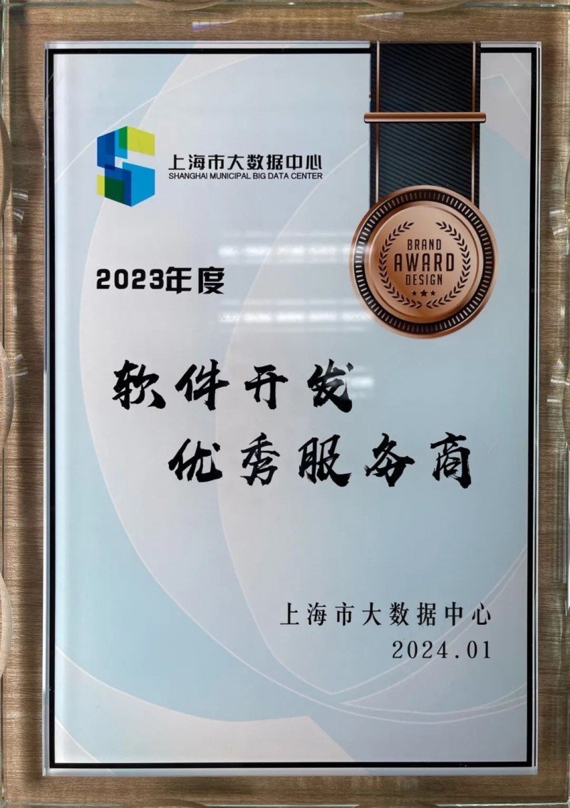 上海软件开发：城市科技发展的催化剂